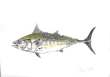 Watercolor print two of each Striped bass, Bluefish and Albie blank note card and  six envelops